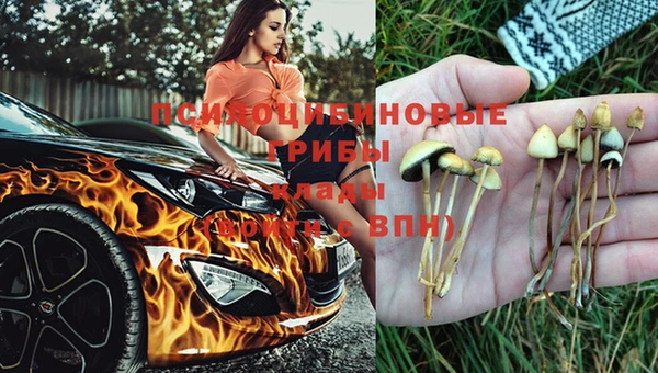 скорость Няндома