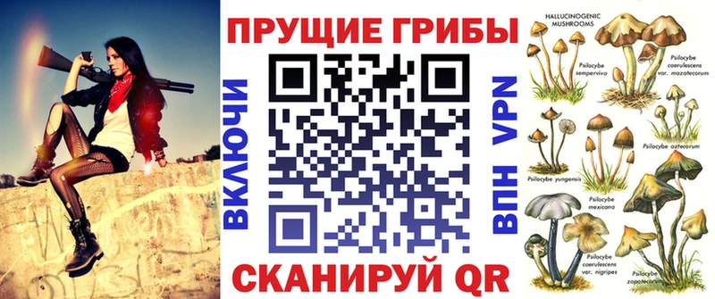 Купить где  Абдулино  Псилоцибиновые грибы Psilocybine cubensis 